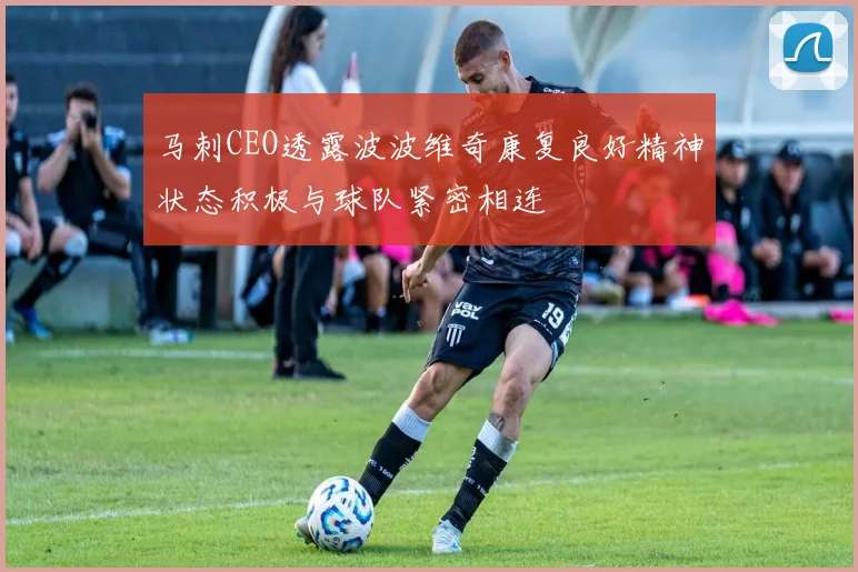 马刺CEO透露波波维奇康复良好精神状态积极与球队紧密相连